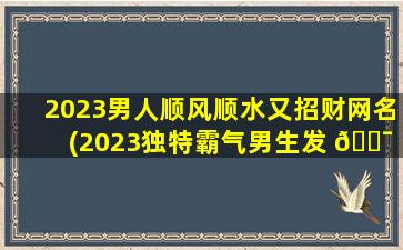 2023男人顺风顺水又招财网名(2023独特霸气男生发 🐯 财网名)